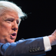 Illustration for article titled Chill, America: Donald Trump Is Not Going to Win